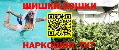 тгк Ставрополь