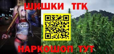 тгк Ставрополь