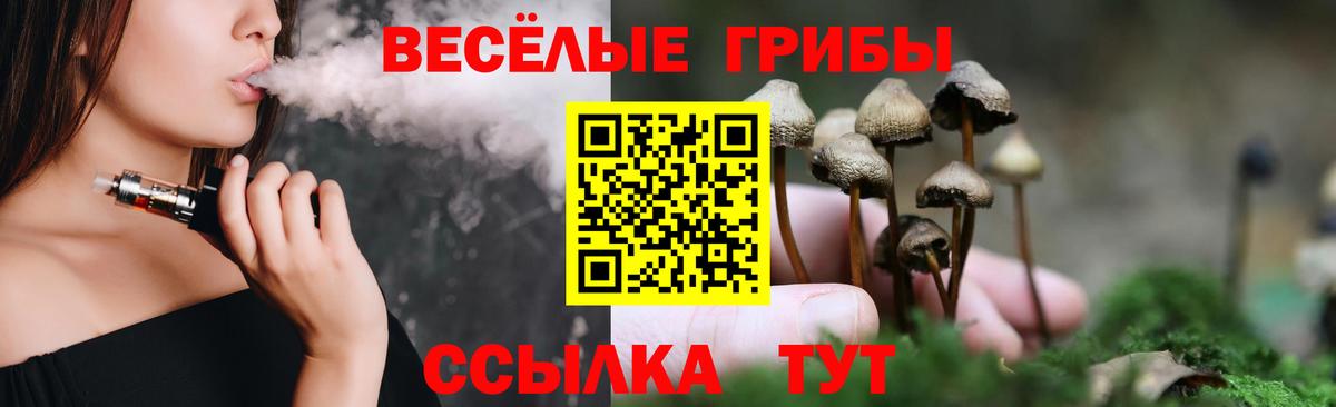 Псилоцибиновые грибы Psilocybine cubensis Прокопьевск